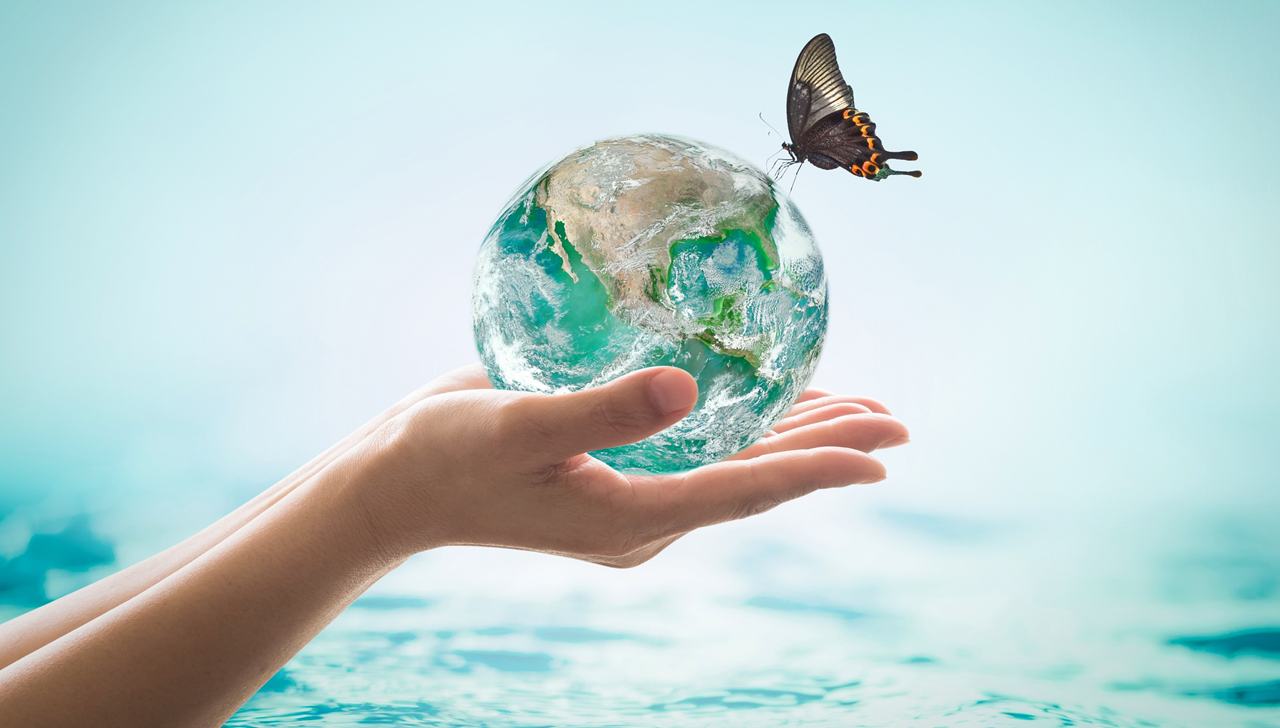 sustainability.png